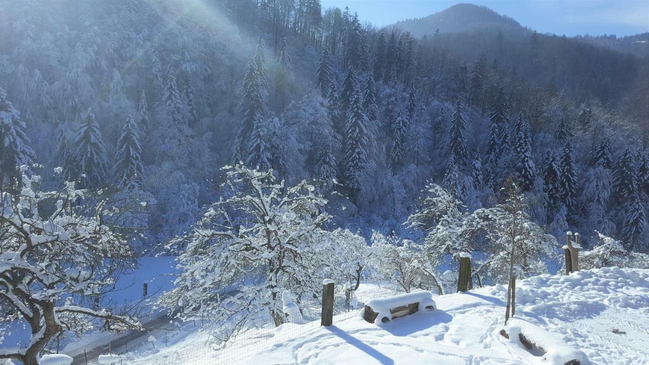 Вілла Turisticna Kmetija Weiss Miklavz pri Taboru Екстер'єр фото